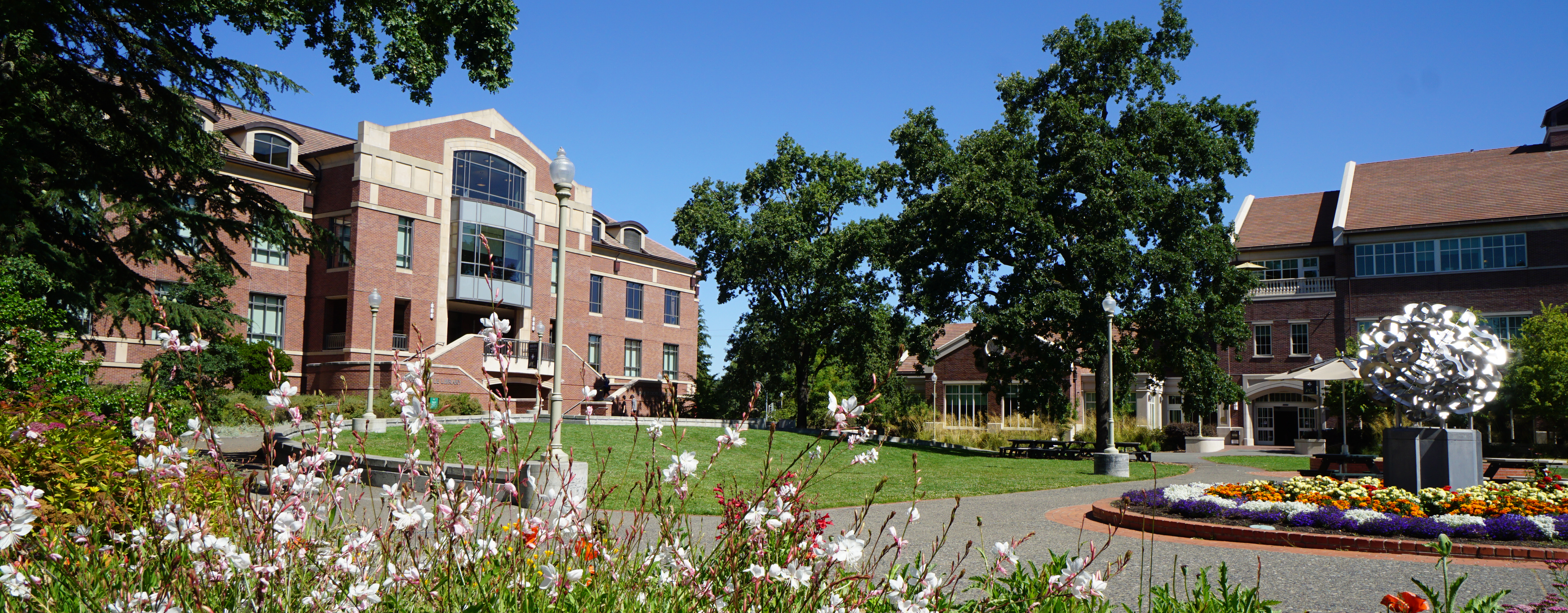 A garden and buildings on the Santa Rosa campus